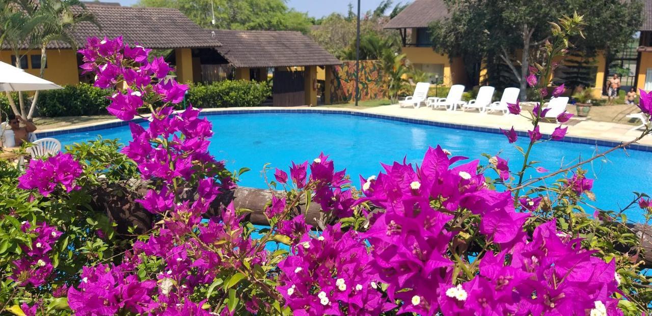 Winterville Flat 213 Gravata  Ngoại thất bức ảnh