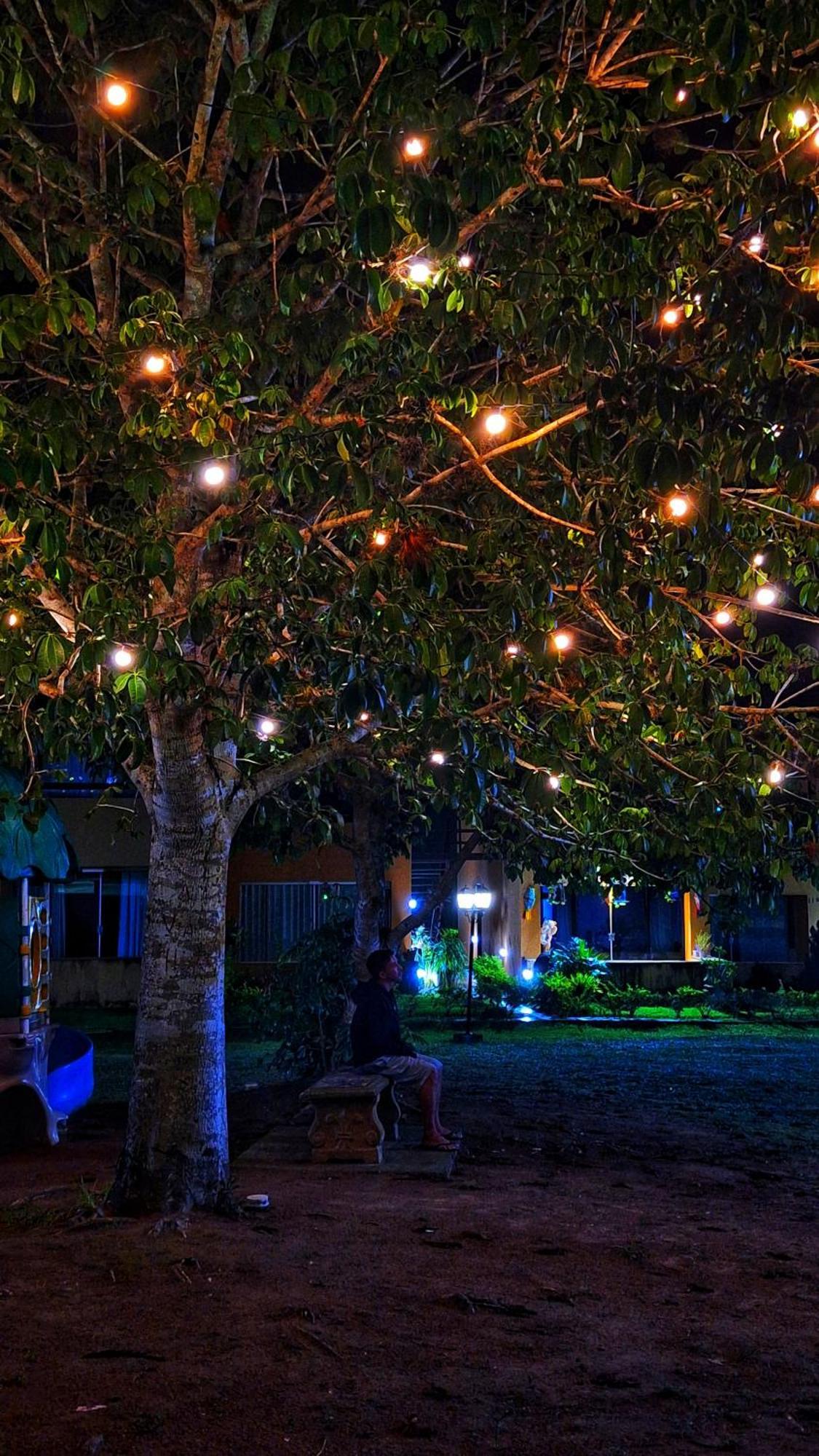 Winterville Flat 213 Gravata  Ngoại thất bức ảnh